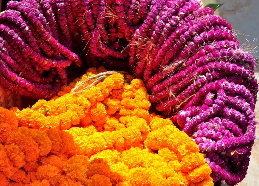 tihar_flower